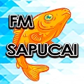 FM Sapucai - FM 89.5